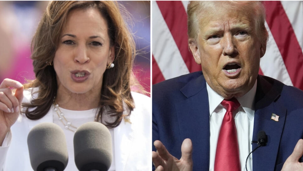 Kamala Harris et Donald Trump. (Image d'illustration) AP - Charles Rex Arbogast